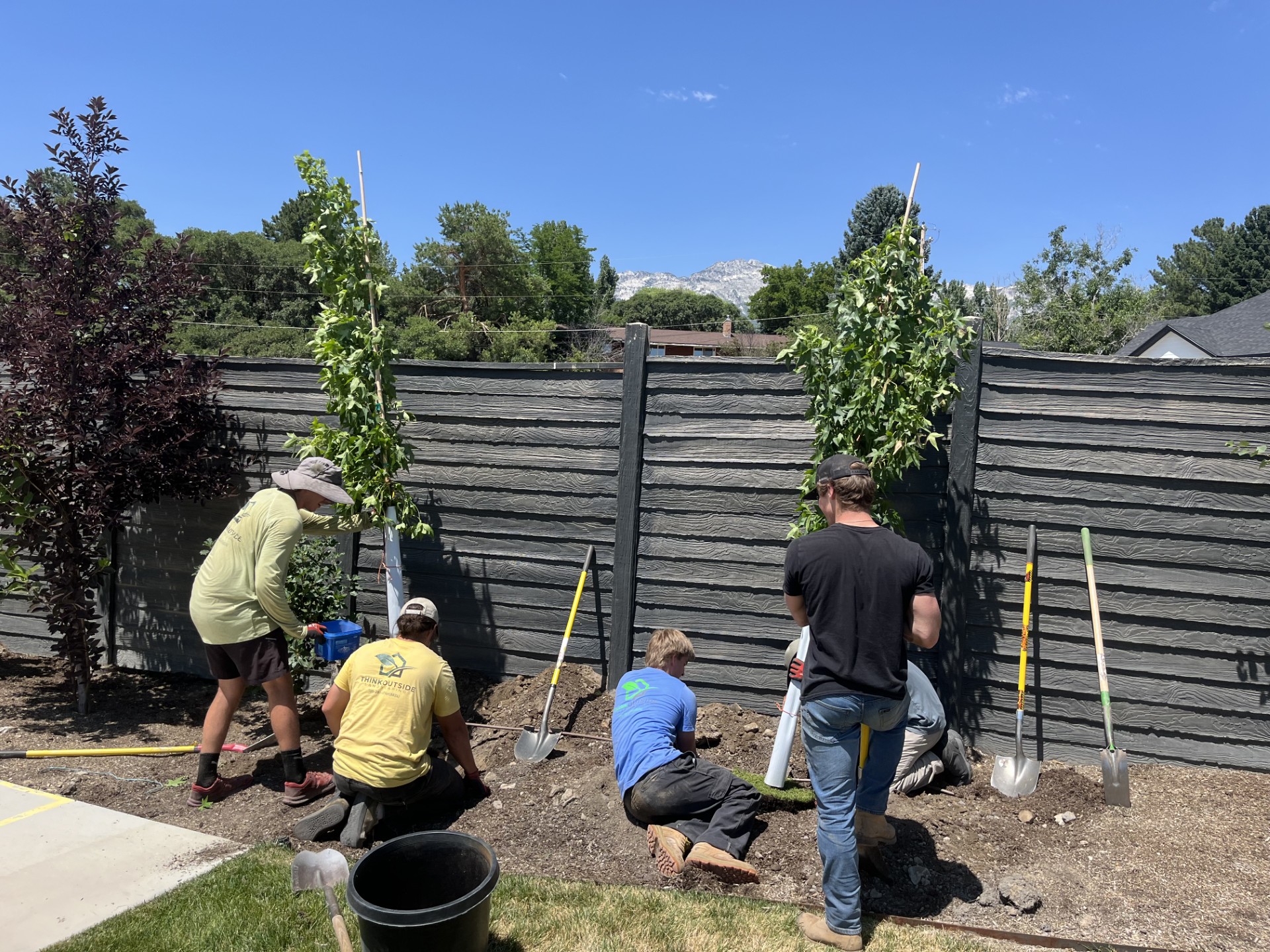 Think Outside Landscaping crew planting trees along a residential fence