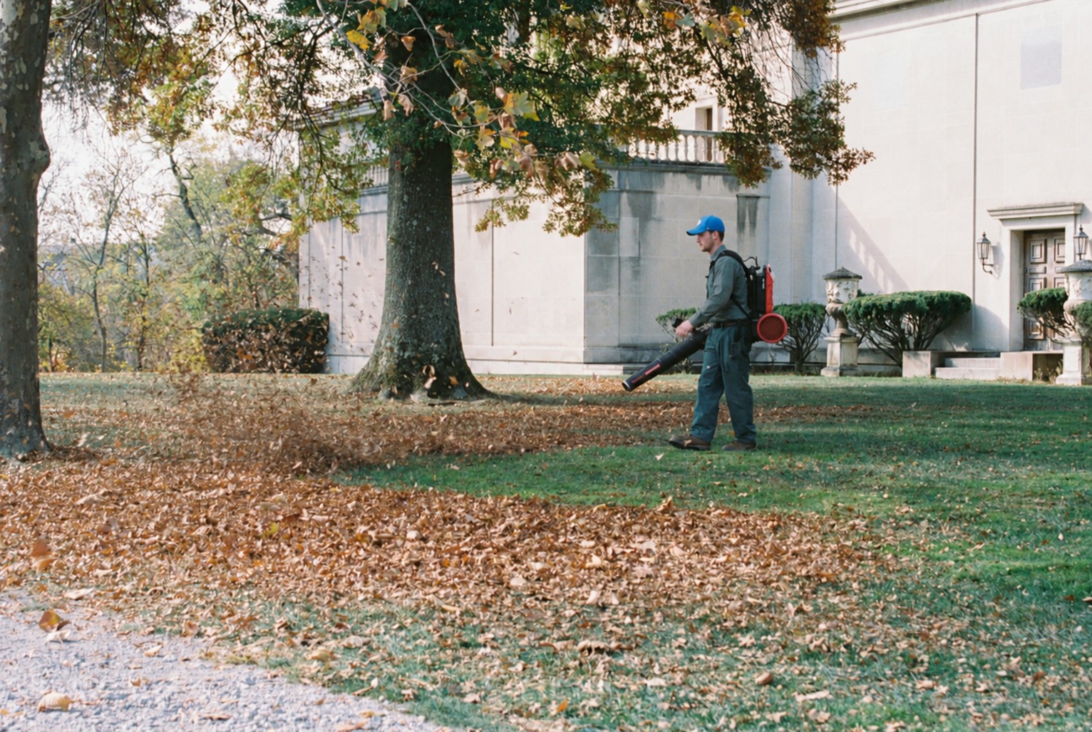 Fall landscape cleanup using a leaf blower
