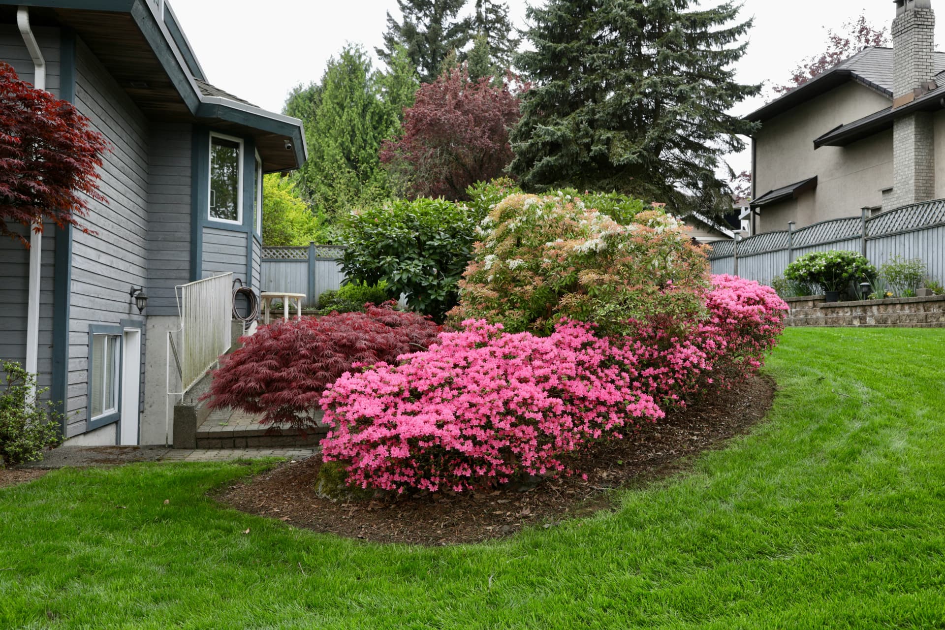 Low-maintenance landscape with shrubs, flowering plants and mulch